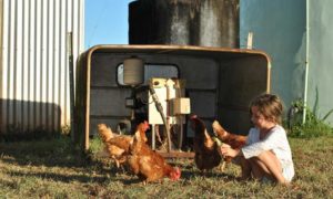 Kleines Mädchen spielt auf einem Bauernhof mit Hühnern